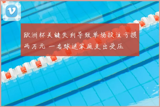 欧洲杯关键失利导致单场投注亏损两万元 一名球迷家庭支出受压
