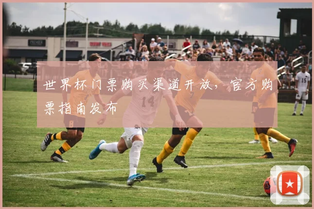 世界杯门票购买渠道开放,官方购票指南发布