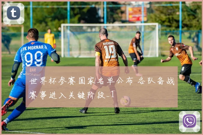世界杯参赛国家名单公布 各队备战赛事进入关键阶段_1