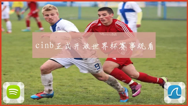 cinb正式开放世界杯赛事观看